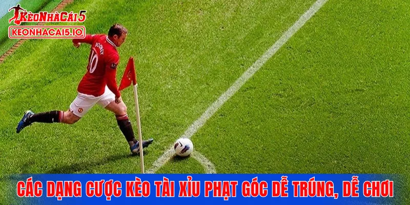Các dạng cược kèo tài xỉu phạt góc dễ trúng, dễ chơi