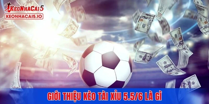 Giới thiệu kèo tài xỉu 5.5/6 là gì