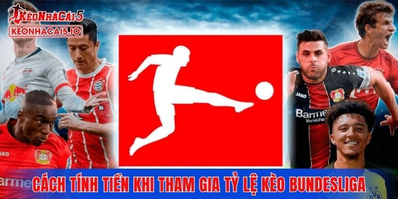 Hướng dẫn cách tính tiền khi tham gia tỷ lệ kèo Bundesliga
