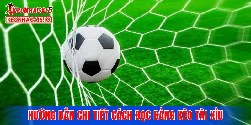 Hướng dẫn chi tiết cách đọc bảng kèo tài xỉu