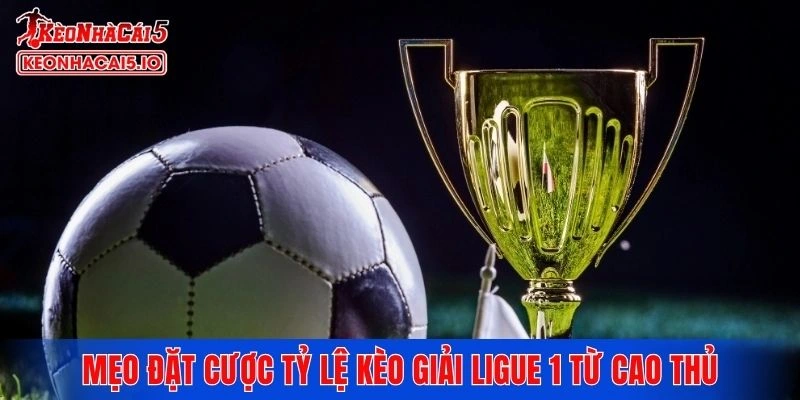Mẹo đặt cược tỷ lệ kèo giải Ligue 1 từ cao thủ