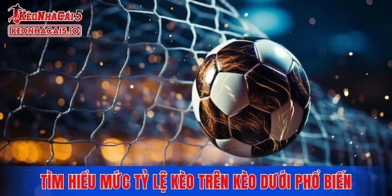 Tìm hiểu mức tỷ lệ kèo trên kèo dưới phổ biến thường gặp