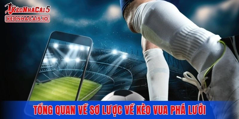 Tổng quan về sơ lược về kèo vua phá lưới